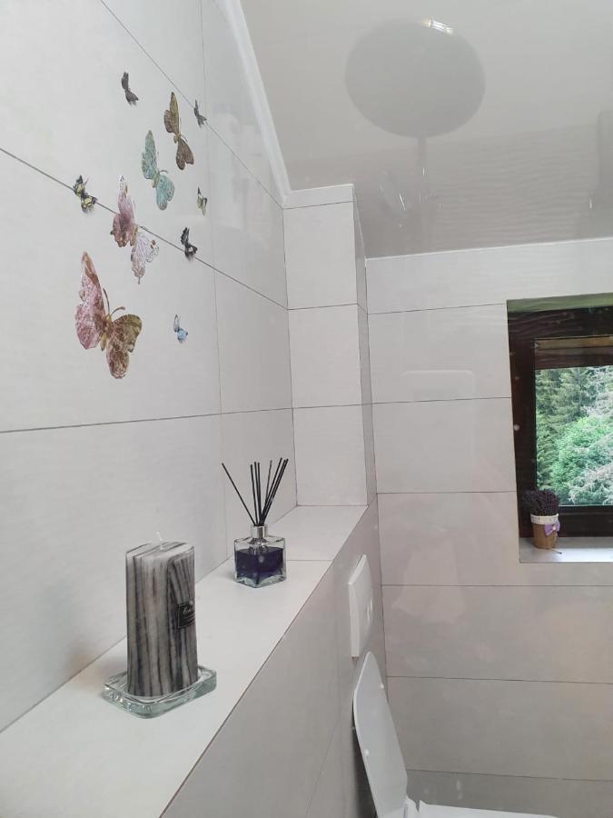 Apartament Ozon โปยานาบราซอฟ ภายนอก รูปภาพ