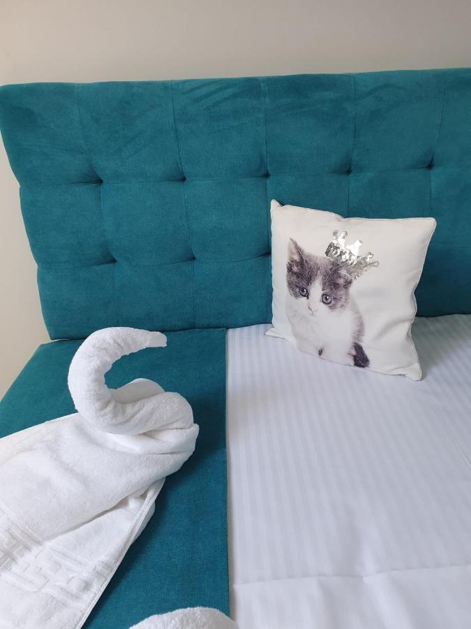 Apartament Ozon โปยานาบราซอฟ ภายนอก รูปภาพ